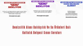 Denizcilik Alanı Balıkçılık Ve Su Ürünleri Kalfalık Soruları
